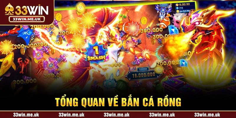 Tổng quan về bắn cá rồng
